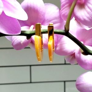 Banana Republic earrings. Gold toned with yellow resin